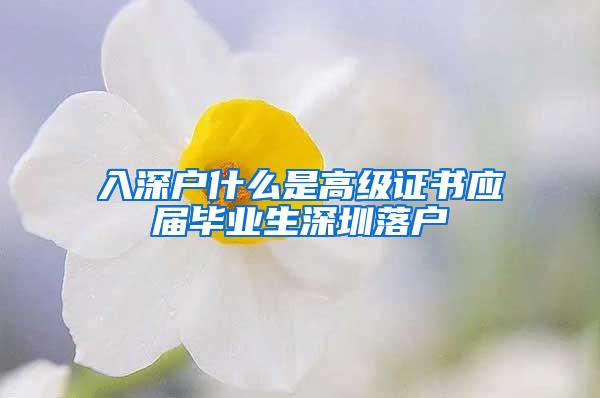 入深户什么是高级证书应届毕业生深圳落户