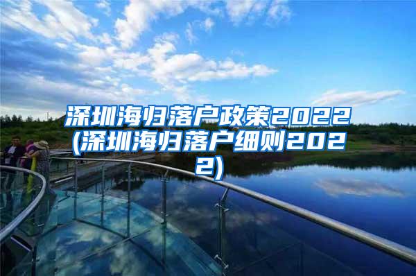 深圳海归落户政策2022(深圳海归落户细则2022)