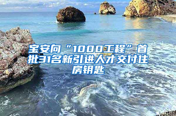 宝安向“1000工程”首批31名新引进人才交付住房钥匙