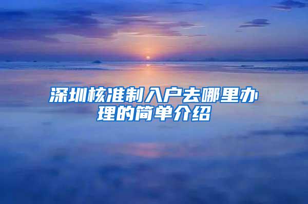 深圳核准制入户去哪里办理的简单介绍