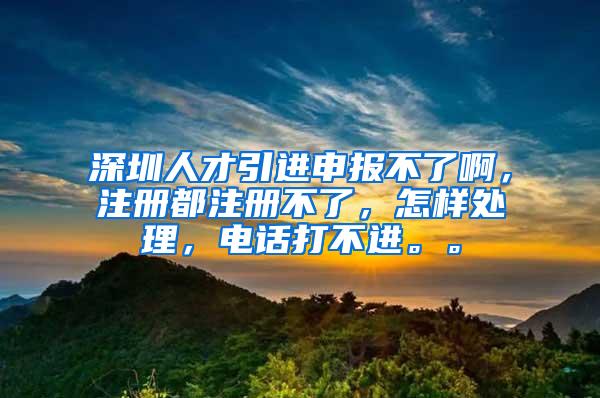 深圳人才引进申报不了啊，注册都注册不了，怎样处理，电话打不进。。