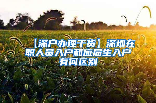 【深户办理干货】深圳在职人员入户和应届生入户有何区别