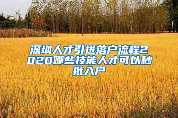 深圳人才引进落户流程2020哪些技能人才可以秒批入户