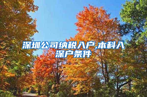 深圳公司纳税入户,本科入深户条件