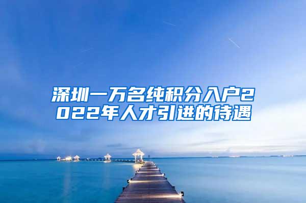 深圳一万名纯积分入户2022年人才引进的待遇