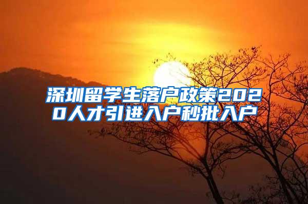 深圳留学生落户政策2020人才引进入户秒批入户