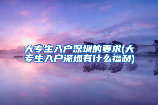 大专生入户深圳的要求(大专生入户深圳有什么福利)