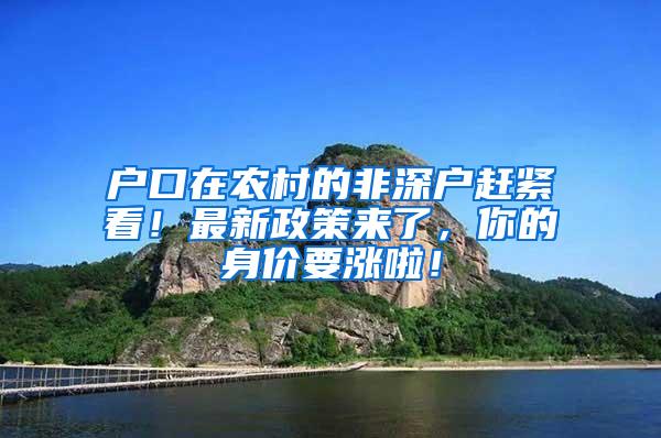 户口在农村的非深户赶紧看！最新政策来了，你的身价要涨啦！