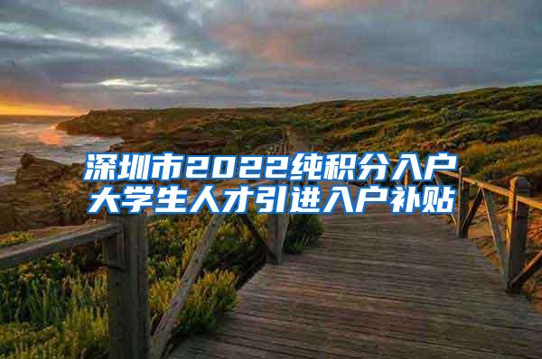 深圳市2022纯积分入户大学生人才引进入户补贴