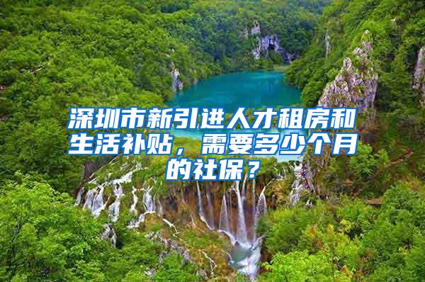 深圳市新引进人才租房和生活补贴，需要多少个月的社保？