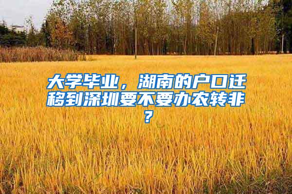 大学毕业，湖南的户口迁移到深圳要不要办农转非？