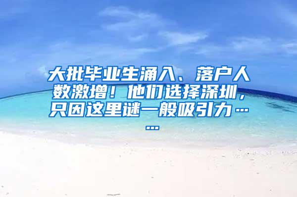 大批毕业生涌入、落户人数激增！他们选择深圳，只因这里谜一般吸引力……