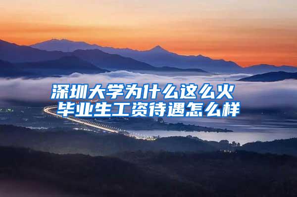 深圳大学为什么这么火 毕业生工资待遇怎么样