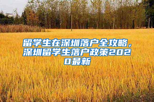 留学生在深圳落户全攻略，深圳留学生落户政策2020最新