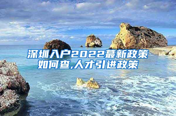 深圳入户2022蕞新政策如何查,人才引进政策