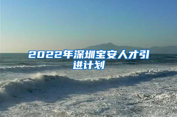 2022年深圳宝安人才引进计划