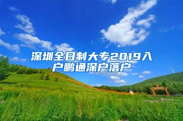 深圳全日制大专2019入户鹏通深户落户