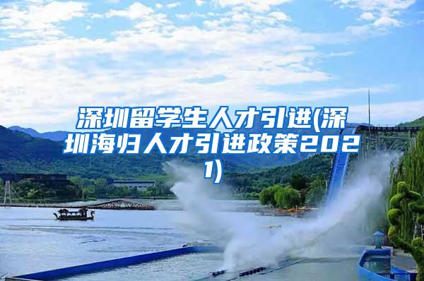 深圳留学生人才引进(深圳海归人才引进政策2021)