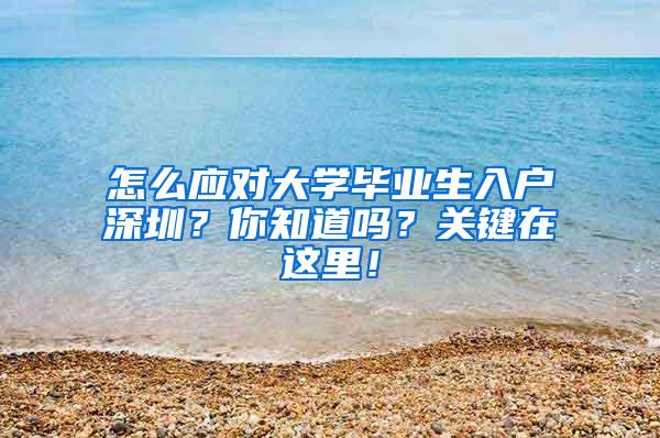 怎么应对大学毕业生入户深圳？你知道吗？关键在这里！