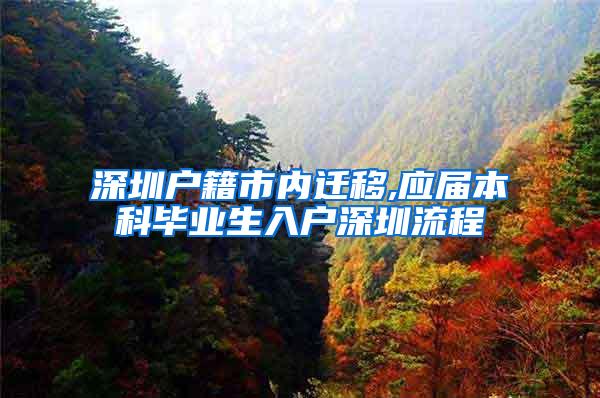 深圳户籍市内迁移,应届本科毕业生入户深圳流程