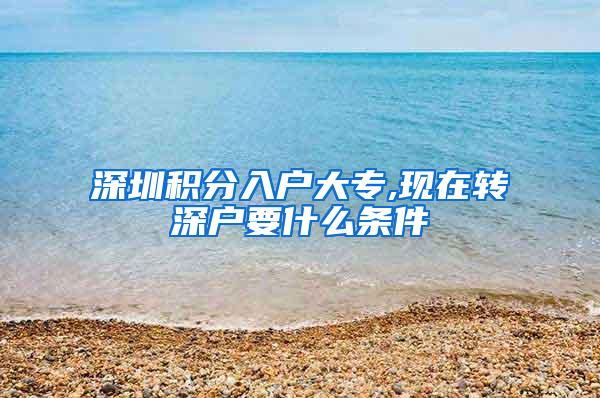 深圳积分入户大专,现在转深户要什么条件