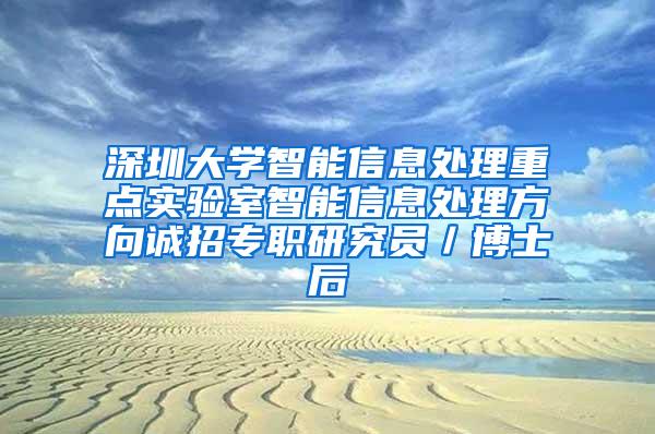 深圳大学智能信息处理重点实验室智能信息处理方向诚招专职研究员／博士后