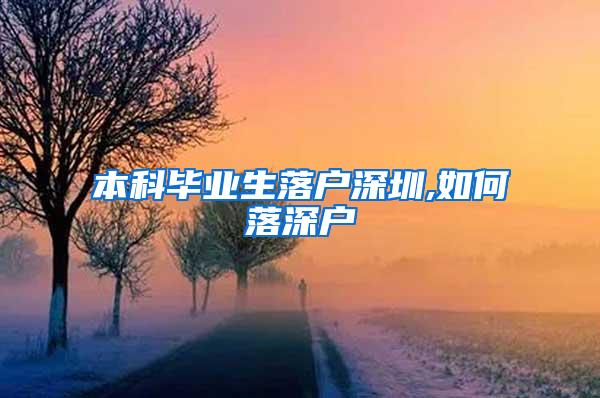 本科毕业生落户深圳,如何落深户