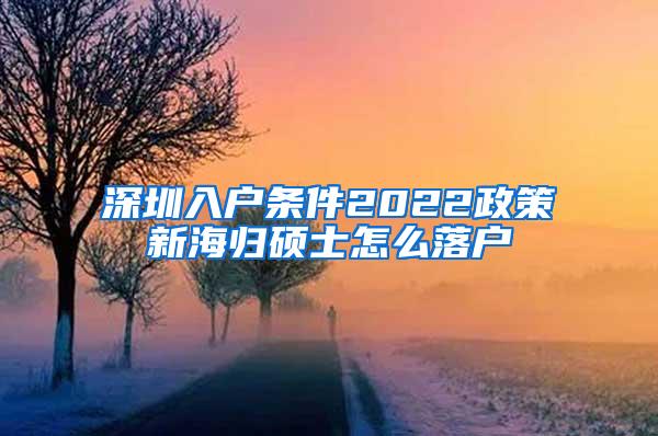 深圳入户条件2022政策新海归硕士怎么落户