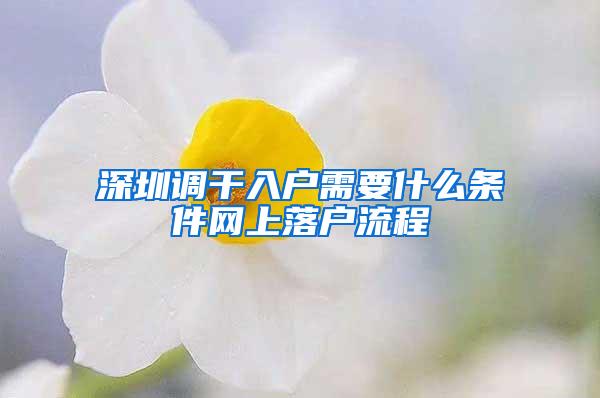 深圳调干入户需要什么条件网上落户流程