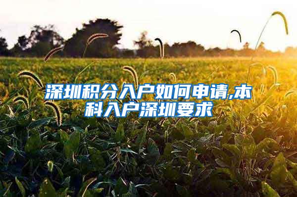 深圳积分入户如何申请,本科入户深圳要求