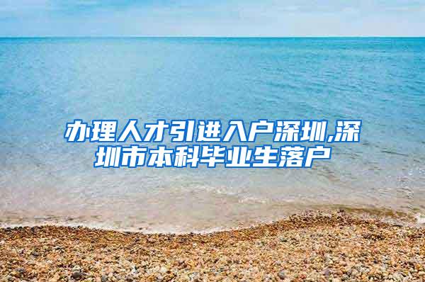 办理人才引进入户深圳,深圳市本科毕业生落户