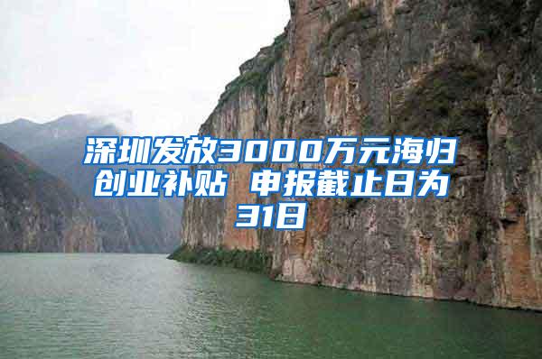 深圳发放3000万元海归创业补贴 申报截止日为31日