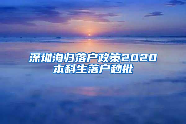 深圳海归落户政策2020本科生落户秒批