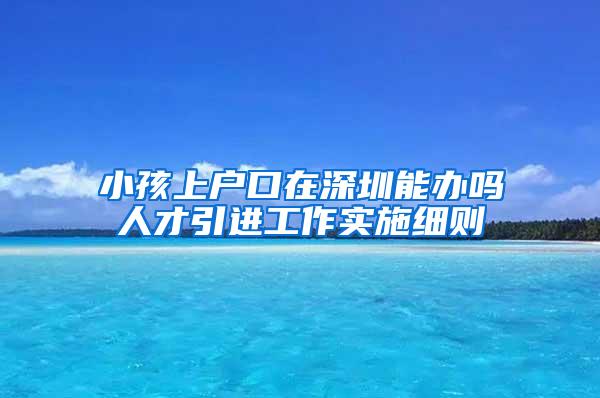 小孩上户口在深圳能办吗人才引进工作实施细则