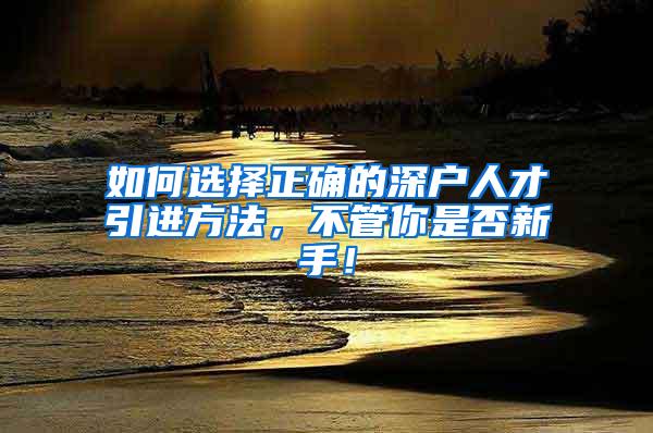 如何选择正确的深户人才引进方法，不管你是否新手！