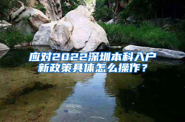 应对2022深圳本科入户新政策具体怎么操作？