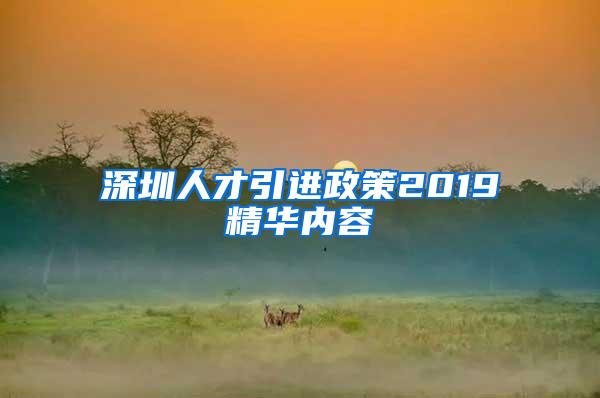 深圳人才引进政策2019精华内容