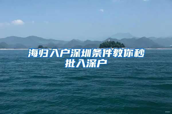 海归入户深圳条件教你秒批入深户