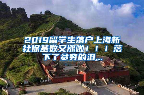 2019留学生落户上海新社保基数又涨啦！！！落下了贫穷的泪...