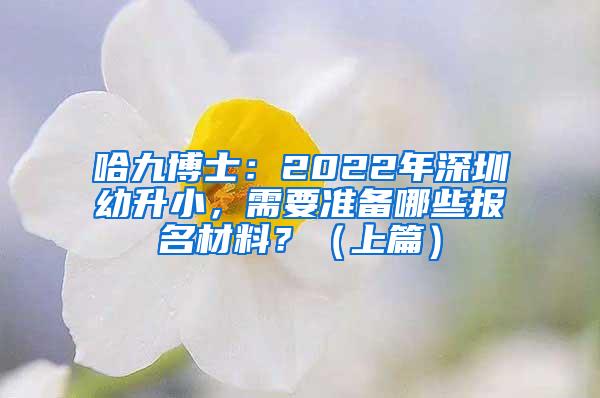 哈九博士：2022年深圳幼升小，需要准备哪些报名材料？（上篇）