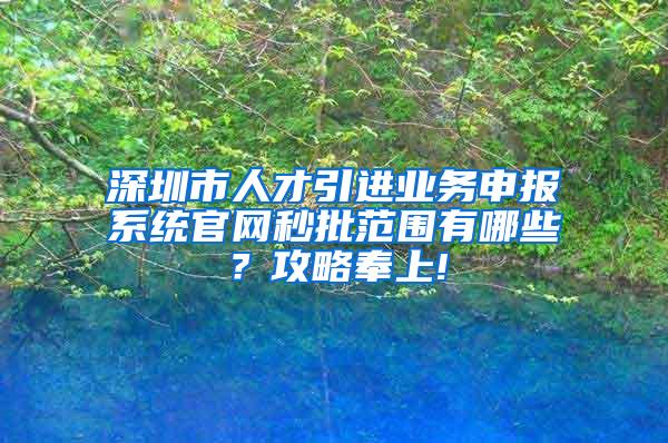 深圳市人才引进业务申报系统官网秒批范围有哪些？攻略奉上!