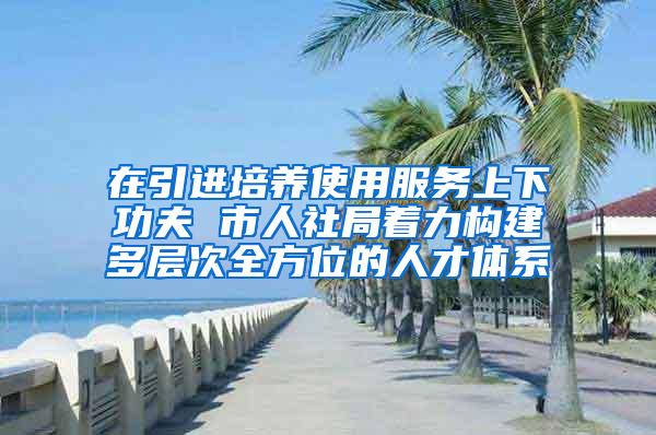 在引进培养使用服务上下功夫 市人社局着力构建多层次全方位的人才体系