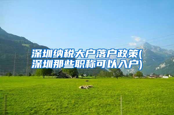 深圳纳税大户落户政策(深圳那些职称可以入户)