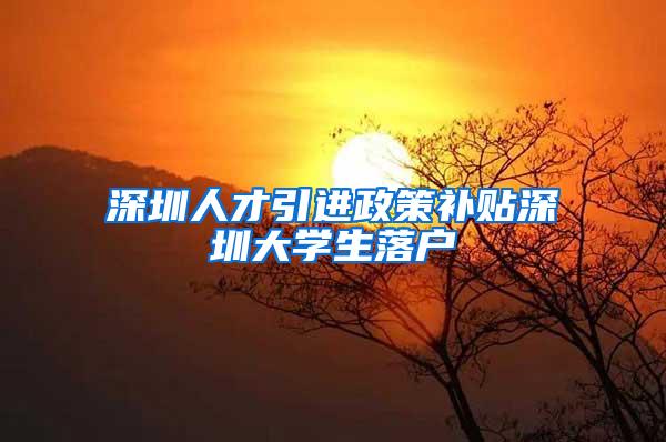 深圳人才引进政策补贴深圳大学生落户