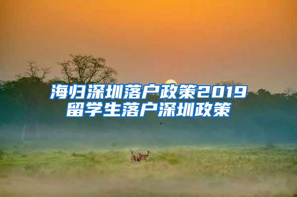 海归深圳落户政策2019留学生落户深圳政策