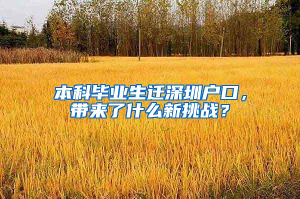 本科毕业生迁深圳户口，带来了什么新挑战？