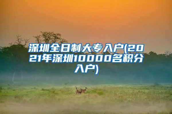 深圳全日制大专入户(2021年深圳10000名积分入户)