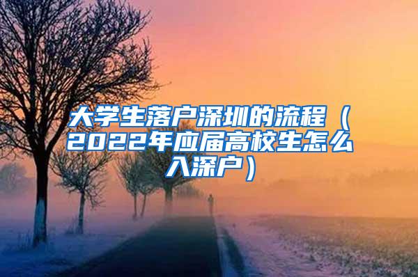 大学生落户深圳的流程（2022年应届高校生怎么入深户）