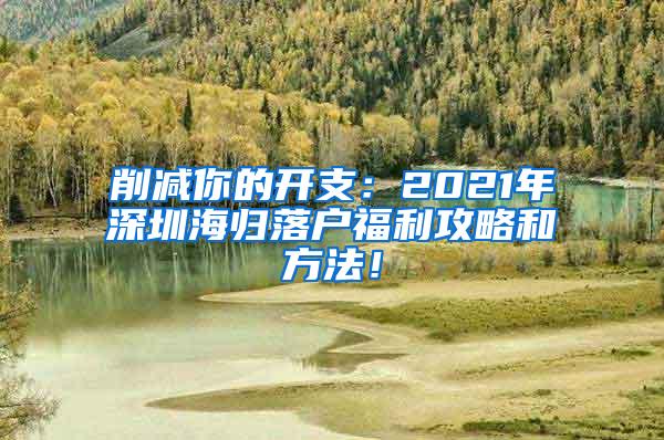 削减你的开支：2021年深圳海归落户福利攻略和方法！