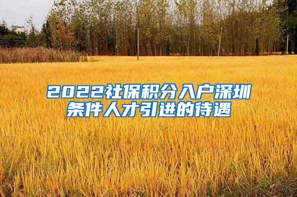 2022社保积分入户深圳条件人才引进的待遇